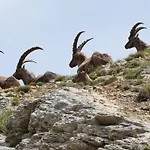 Le Gresse-en-Vercors