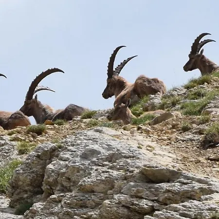 Le Gresse-en-Vercors